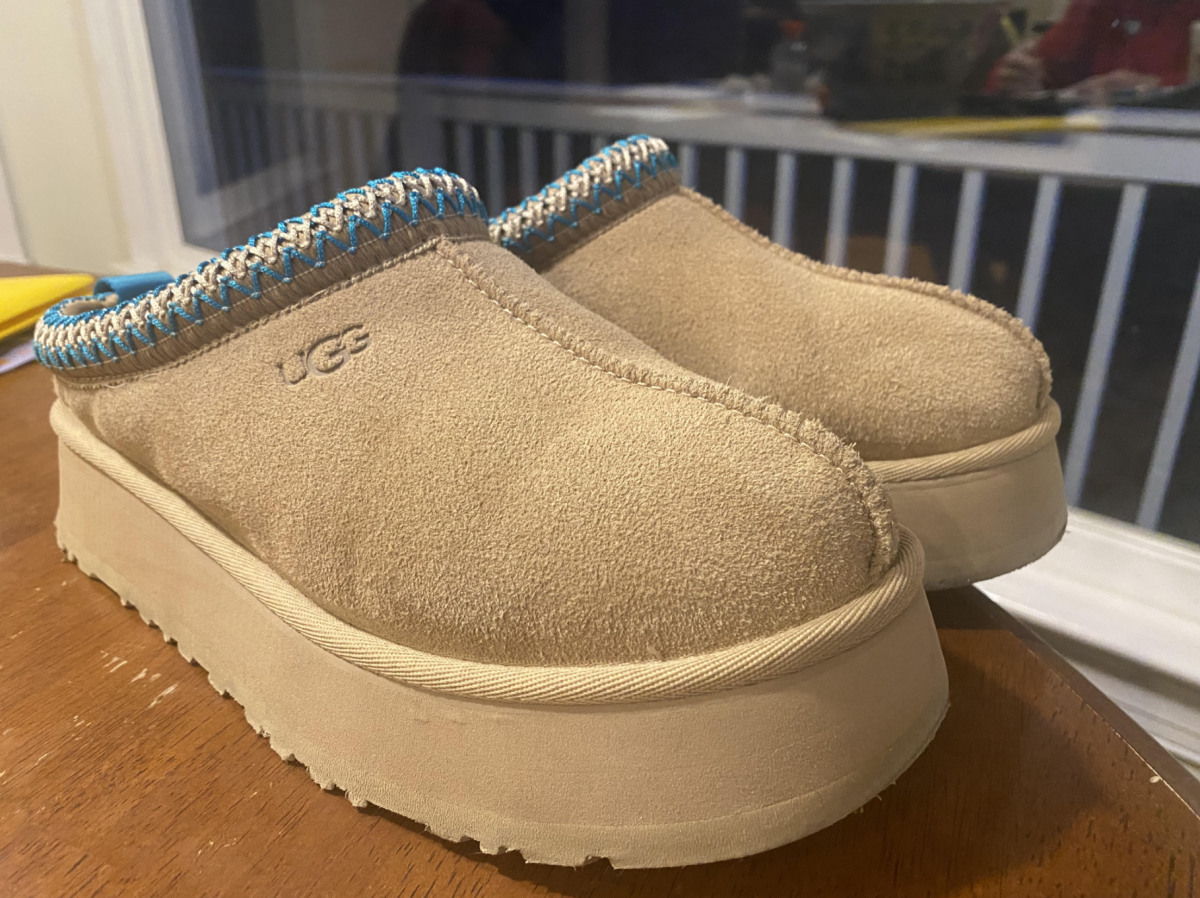 A variant of the Tasman UGG shoe.